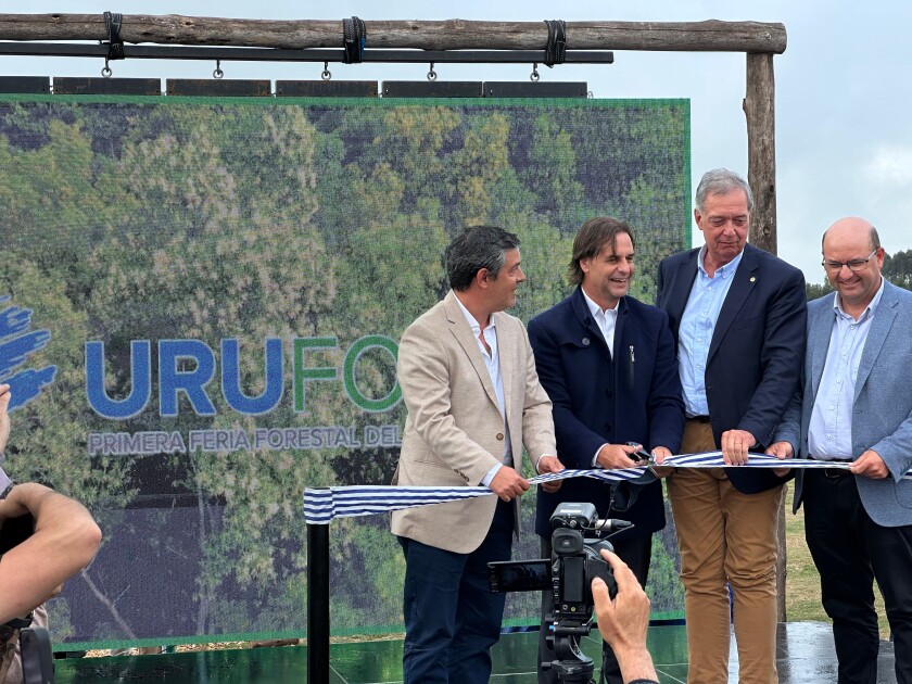 Uruforest2024.jpg