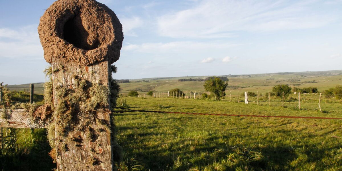 Bordaberry propone que los colonos del INC puedan acceder a la propiedad de la tierra