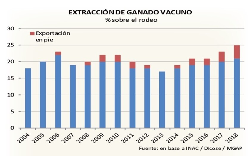 extraccion-de-ganado-vacuno.jpg