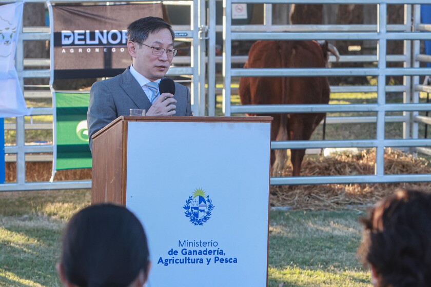 Lacalle Pou envio 3 toros de regalo a Xi Jinping