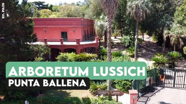 Rincones escondidos: Arboretum Lussich, un arboreto de 192 hectáreas de extensión