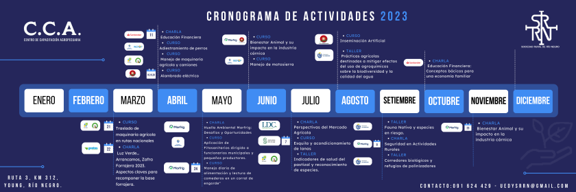 Actividades anuales CCA