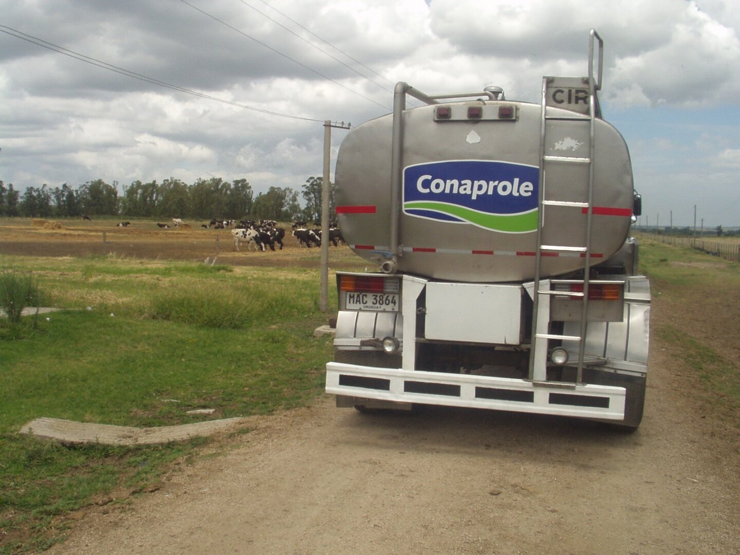 Conaprole