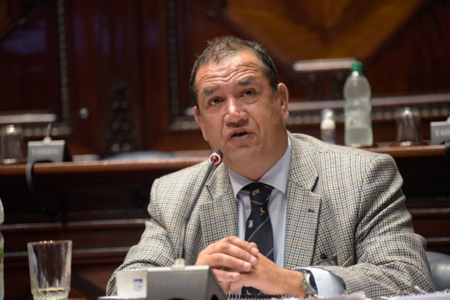 Sebastian Da Silva, senador nacionalista.