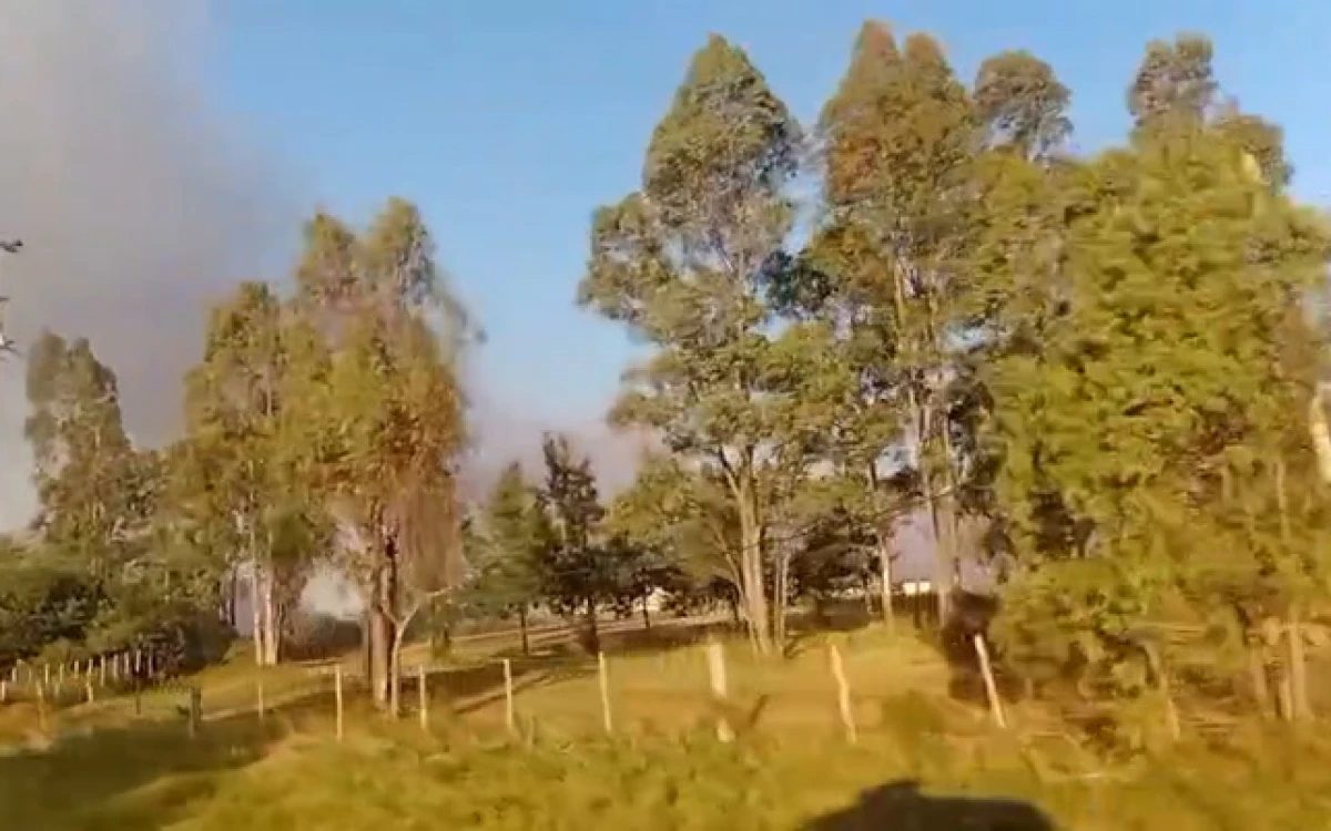 Incendio de campo en Neptunia Norte: Bomberos, Policía e intendencia trabajan para frenar el fuego