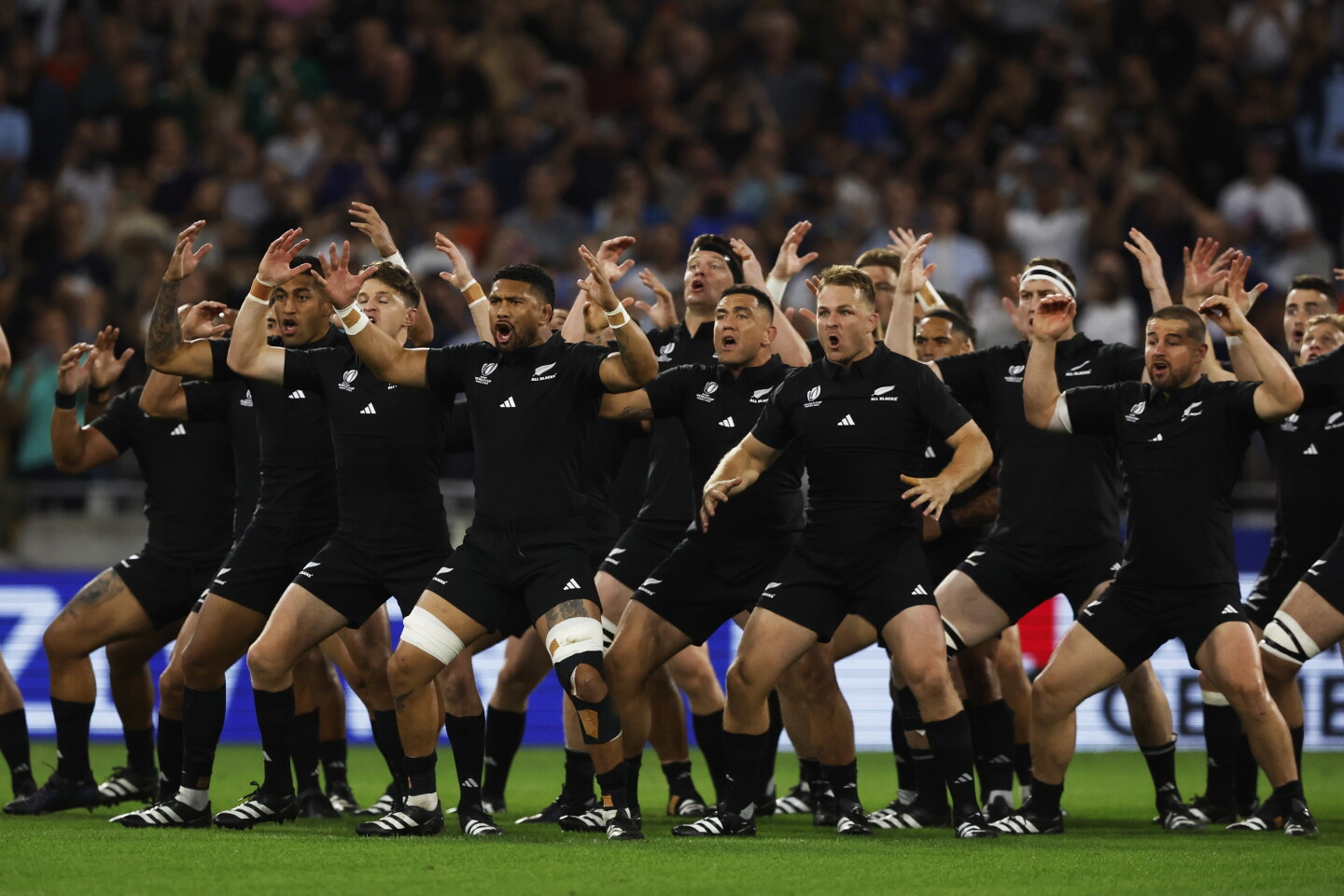 Argentina 6-20 Nueva Zelanda: All Blacks quebraron la defensa rival y ...
