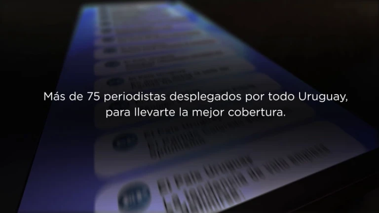 El minuto a minuto de las elecciones en tu WhatsApp