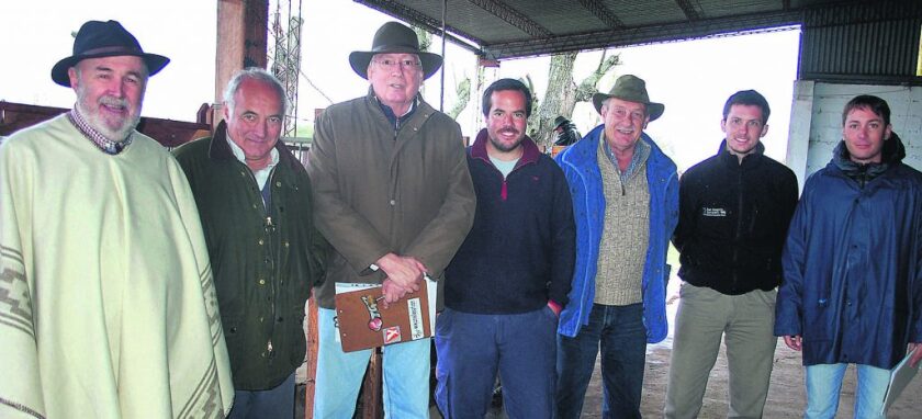 imagen-imagen-150-1024x466.jpg