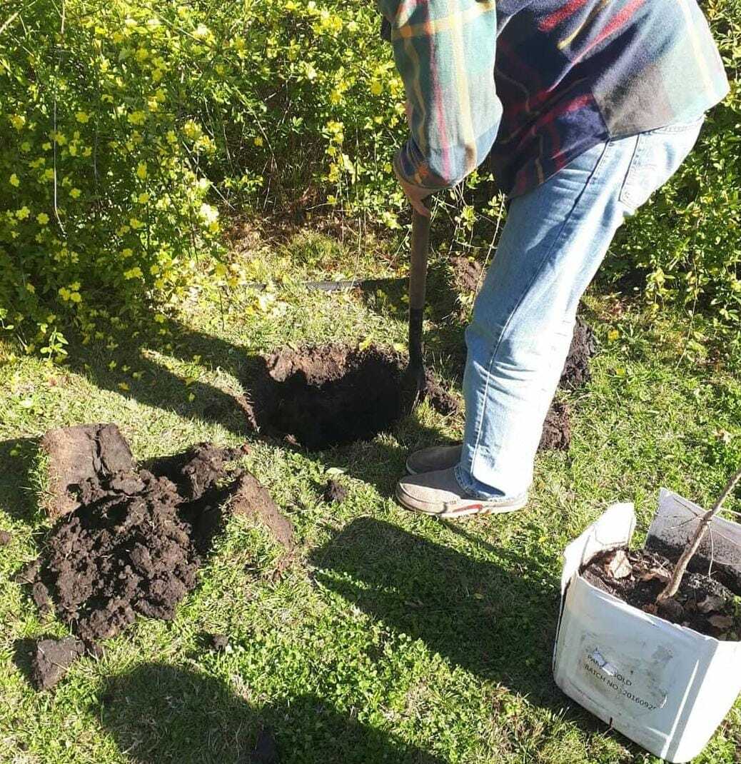 Proyecto ReNacer.
