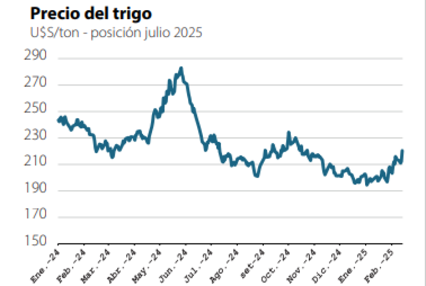 Captura de pantalla 2025-02-15 145211.png
