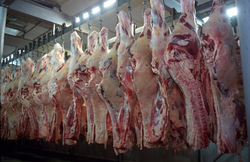 Carne