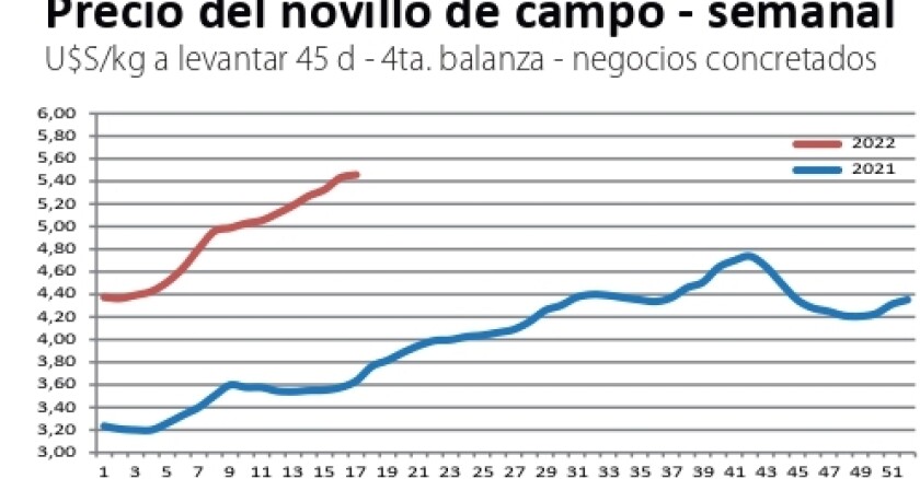 novillo.jpg