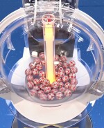 Bolillero del 5 de Oro.