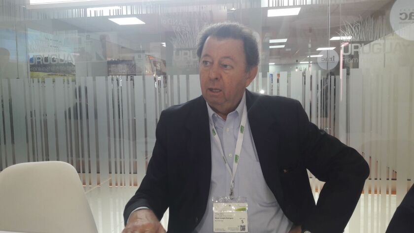 miguel-ameglio-director-de-maximeat.jpg