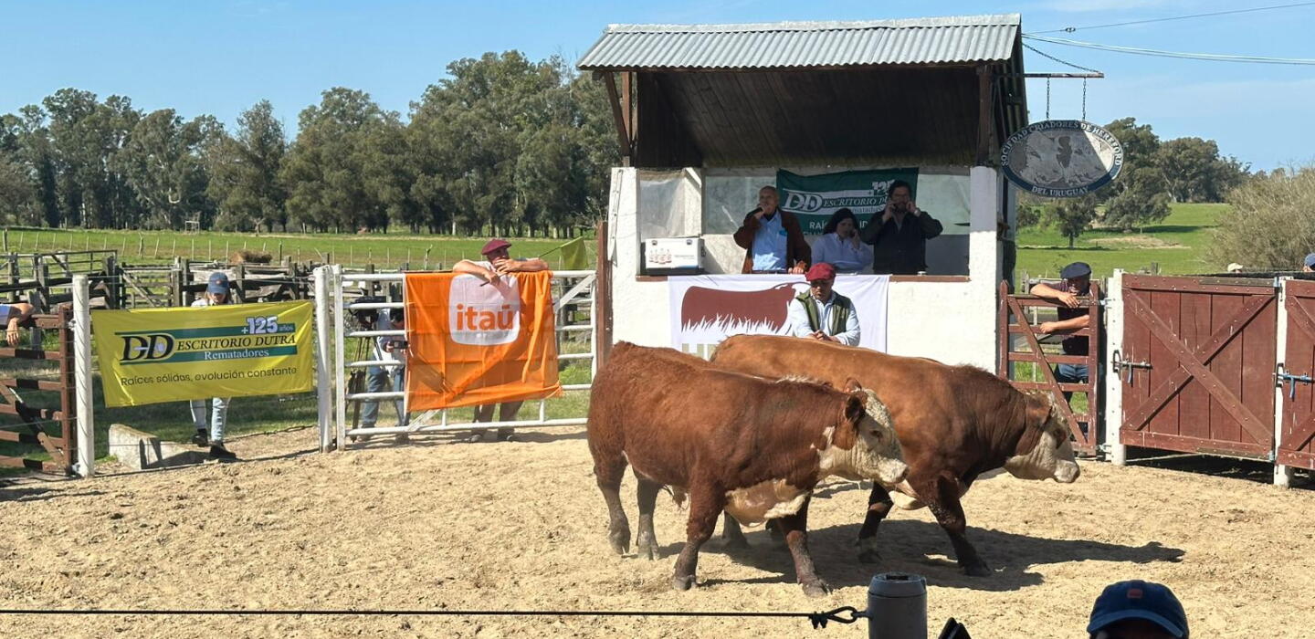 Kiyú cumple 50 remates y abre una zafra de toros que promete ser “dinámica”