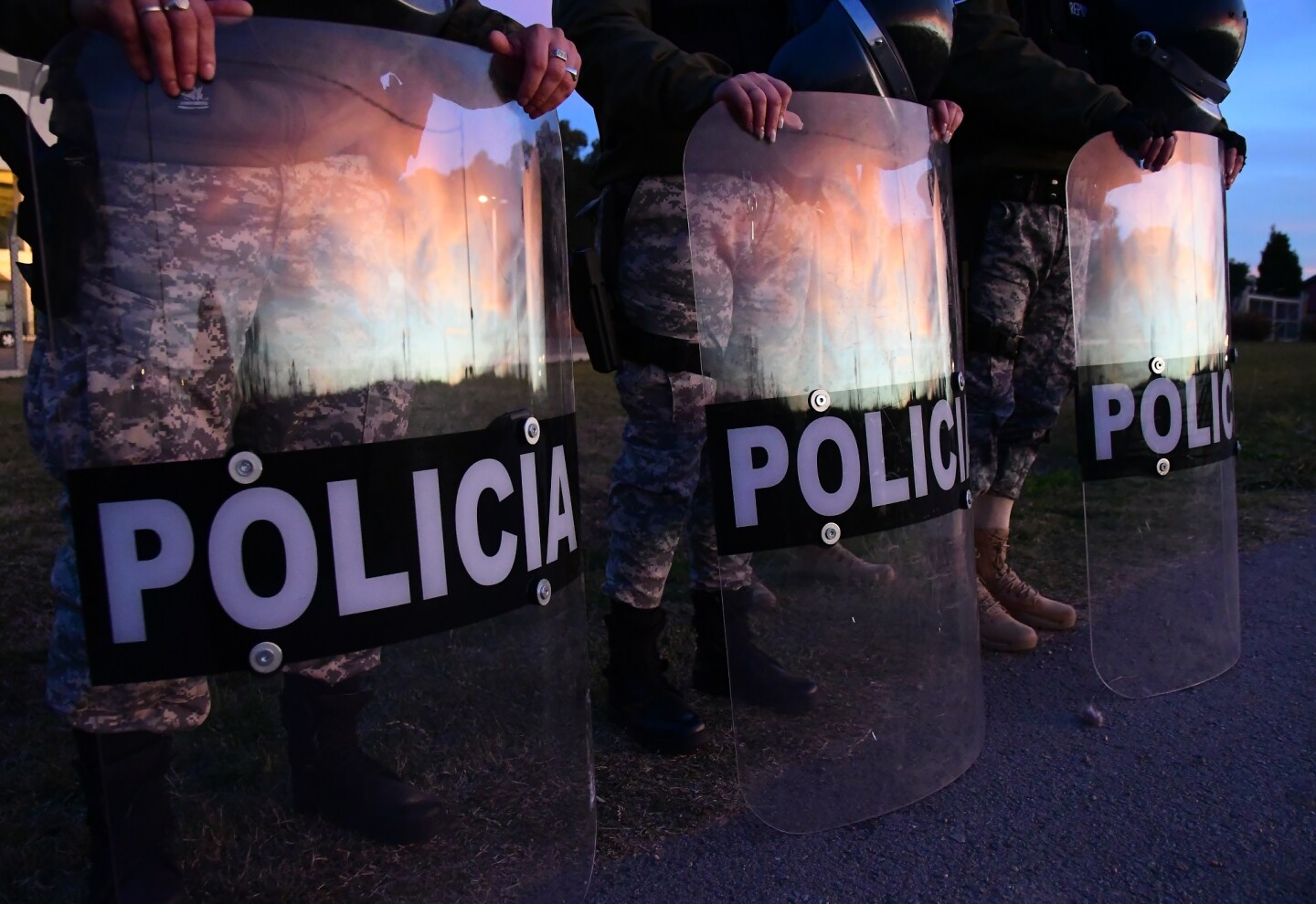 Son 33 los artículos sobre seguridad pública los que se pretenden derogar.
