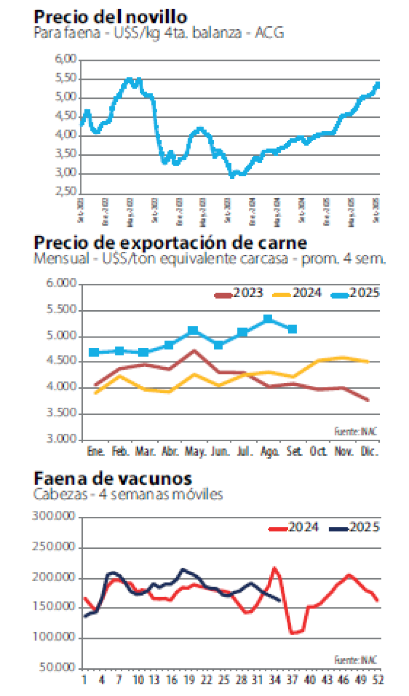 numeros con letras