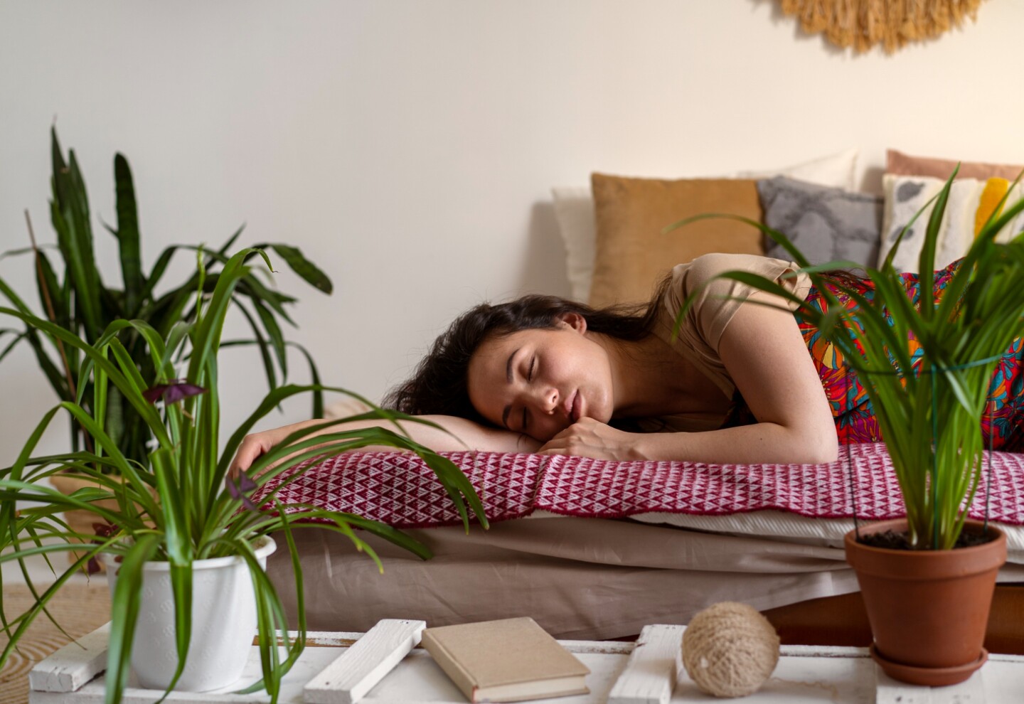 Dormir, planta