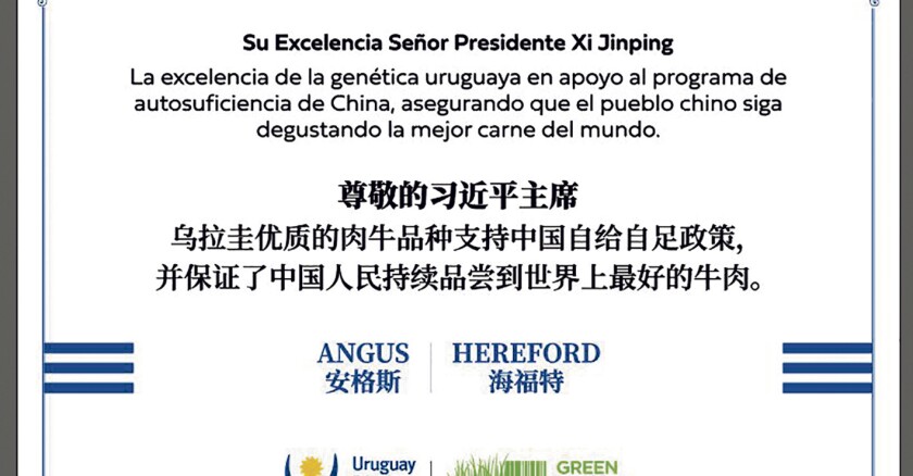 Imagen Angus y Hereford .jpg