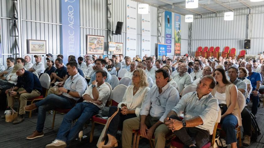 Presentación de Ecocal en Expoactiva.