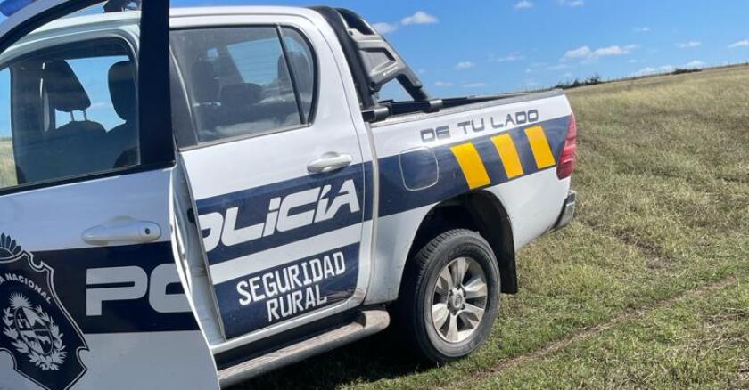 Ataque de ovejas; abigeato; ataque de perros