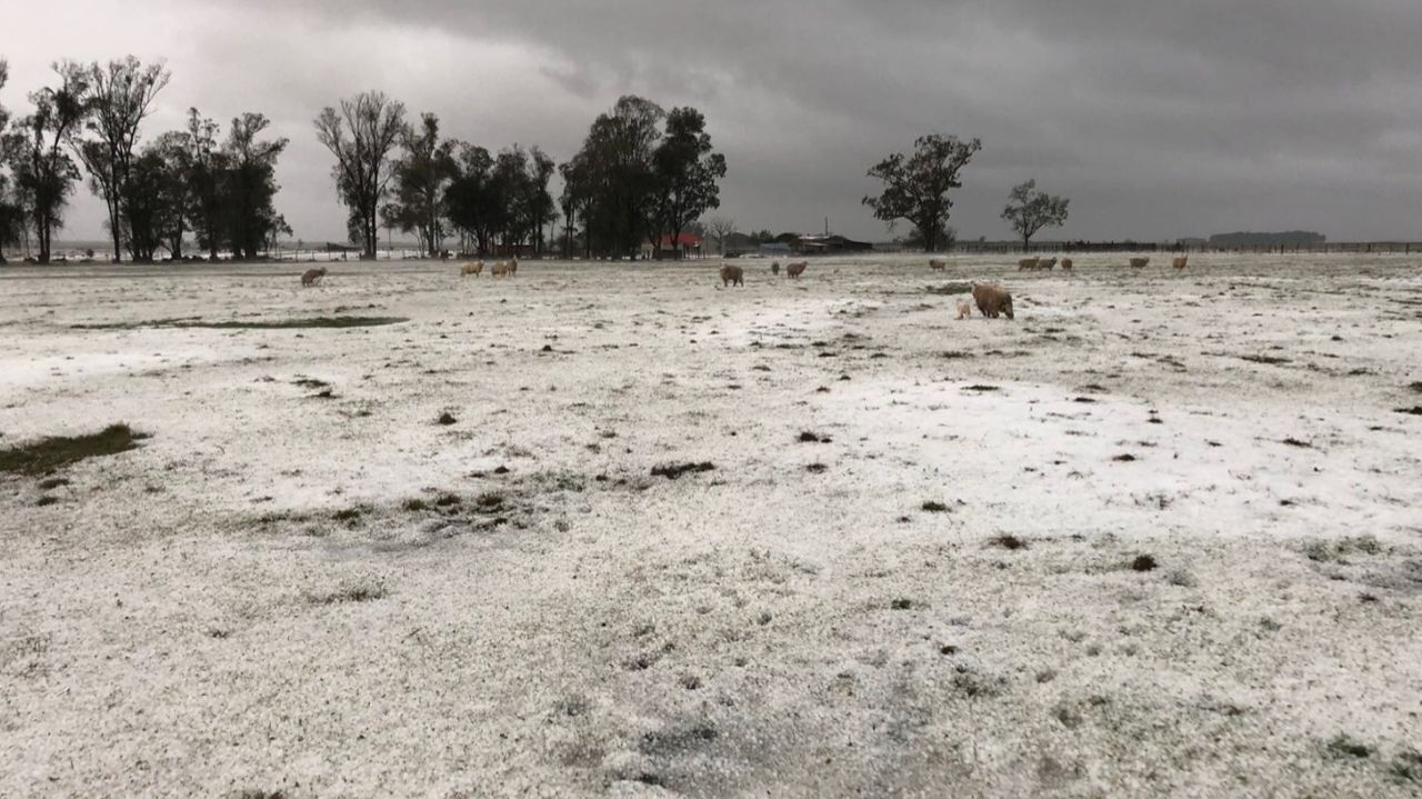 Granizada en Río Branco. Foto: Rómulo Curto