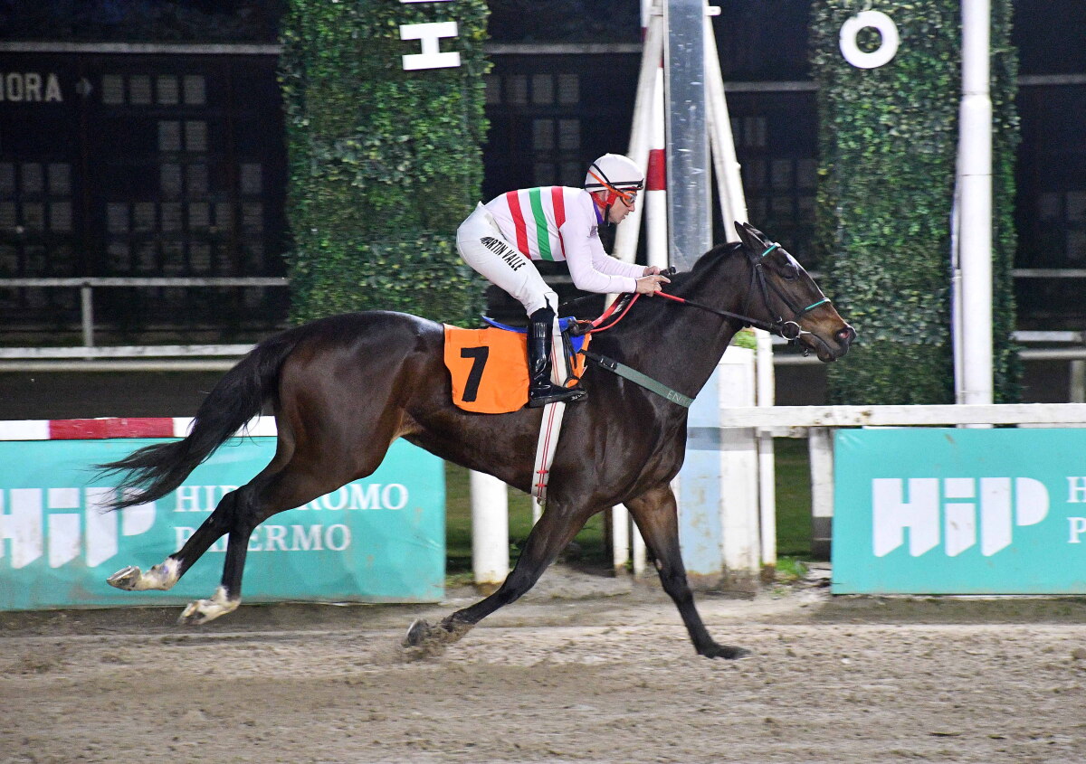 Con un triunfo espectacular en el clásico Correas en Palermo Martana le puso pausa a su ida al haras