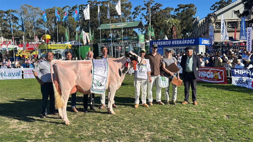 Gran Campeona Holando SH de La Muesca.jpeg
