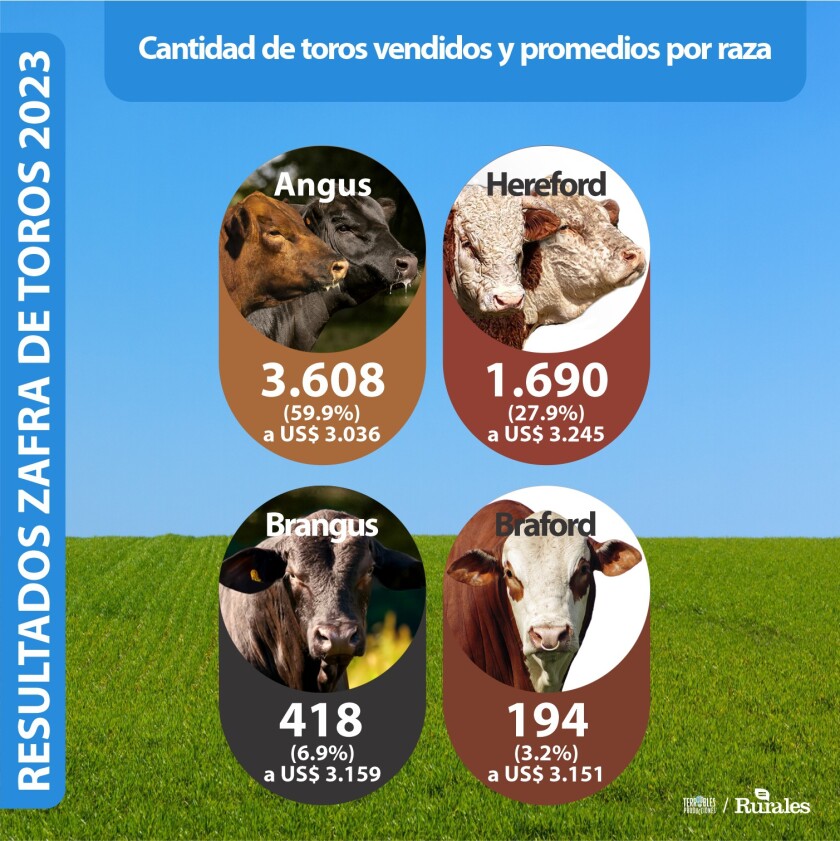 La zafra por razas .jpg
