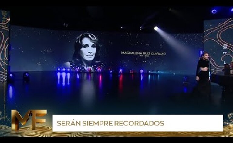 Natalia Oreiro le puso voz al el emotivo homenaje a los fallecidos de la televisión - Martín Fierro