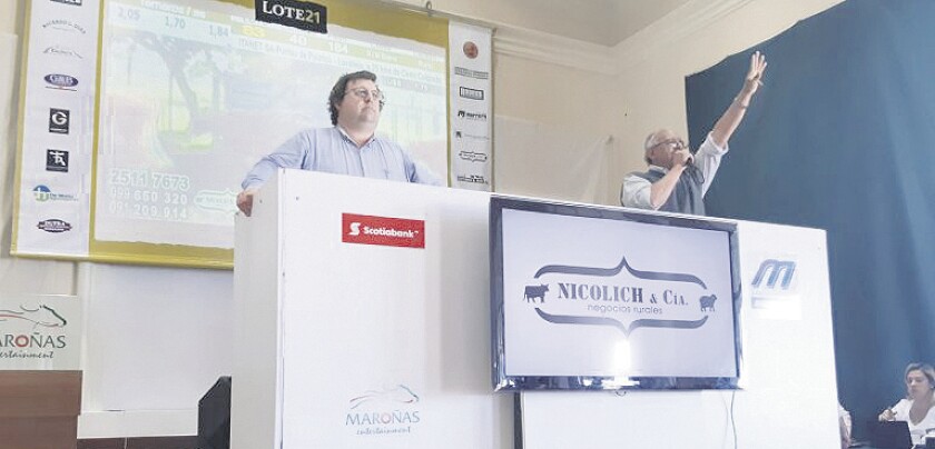 imagen-c3555dc4-035f-40bb-bc73-0488e1497583-768x615.jpg
