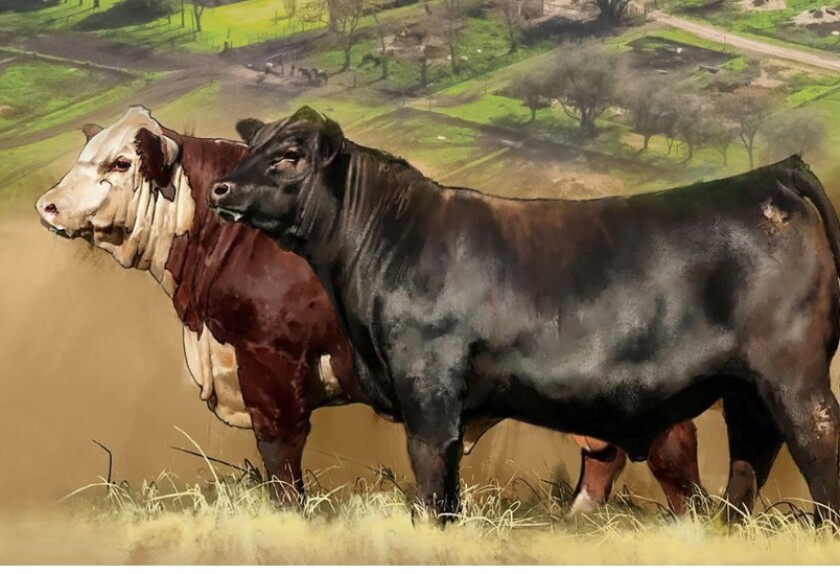 Foto previa de San Gregorio.jpg