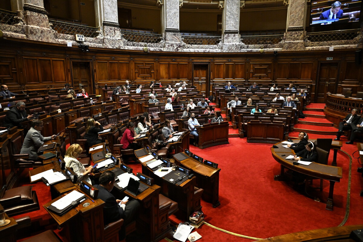 Sesión extraordinaria de la Cámara de Diputados.