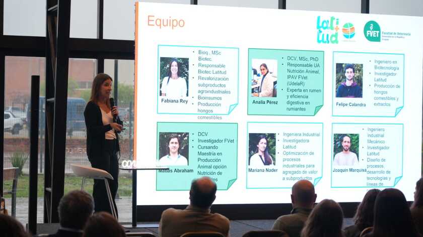 “Alperujo: de residuo a recurso para la alimentación bovina”, liderado por Fabiana Rey, de Latitud – Fundación del Laboratorio Tecnológico del Uruguay (LATU).