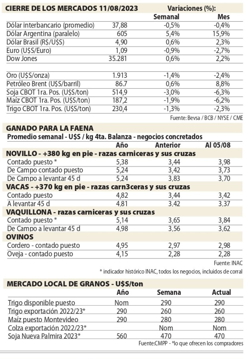 Cuadros NCL.jpg