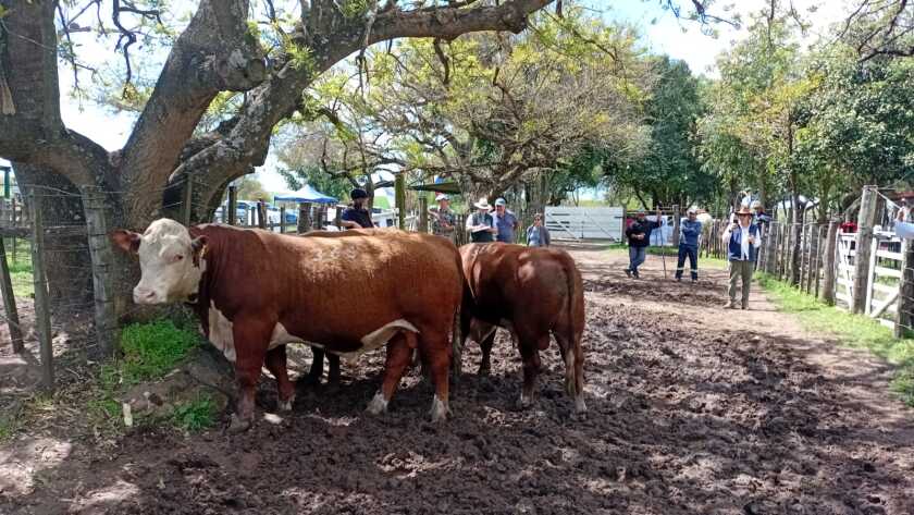 Expo Dolores (1).jpeg