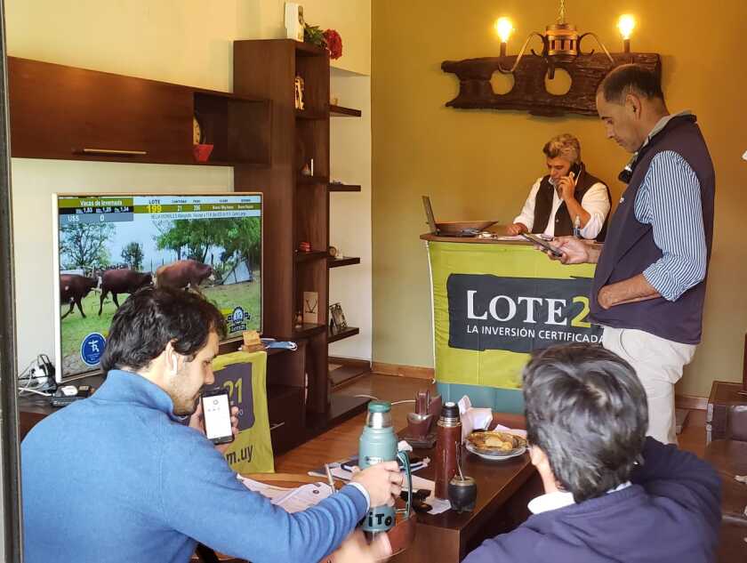 remate-lote-21-mayo-20.jpeg