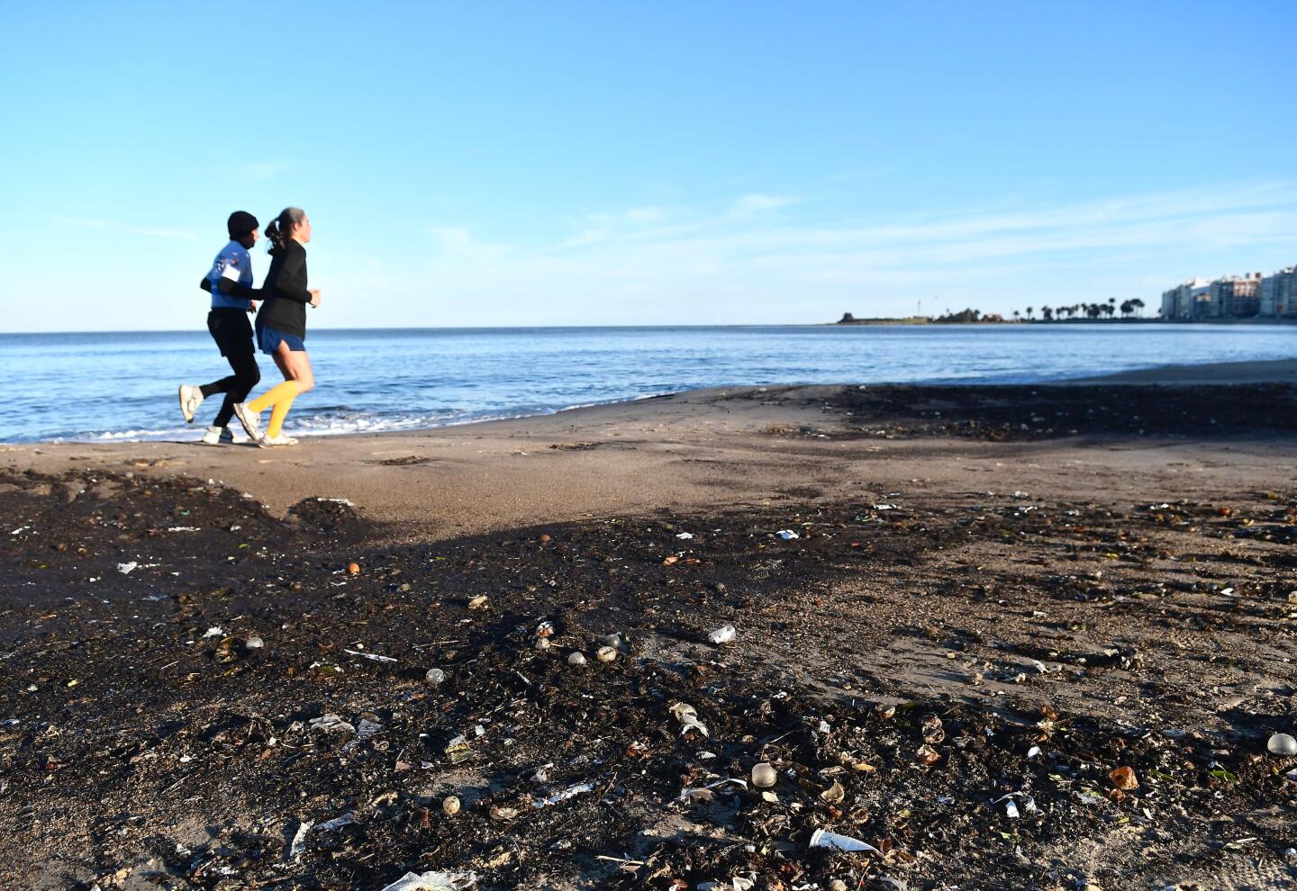 Mugre en playa Pocitos