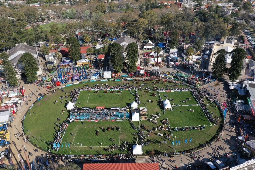 DJI_0012.jpg