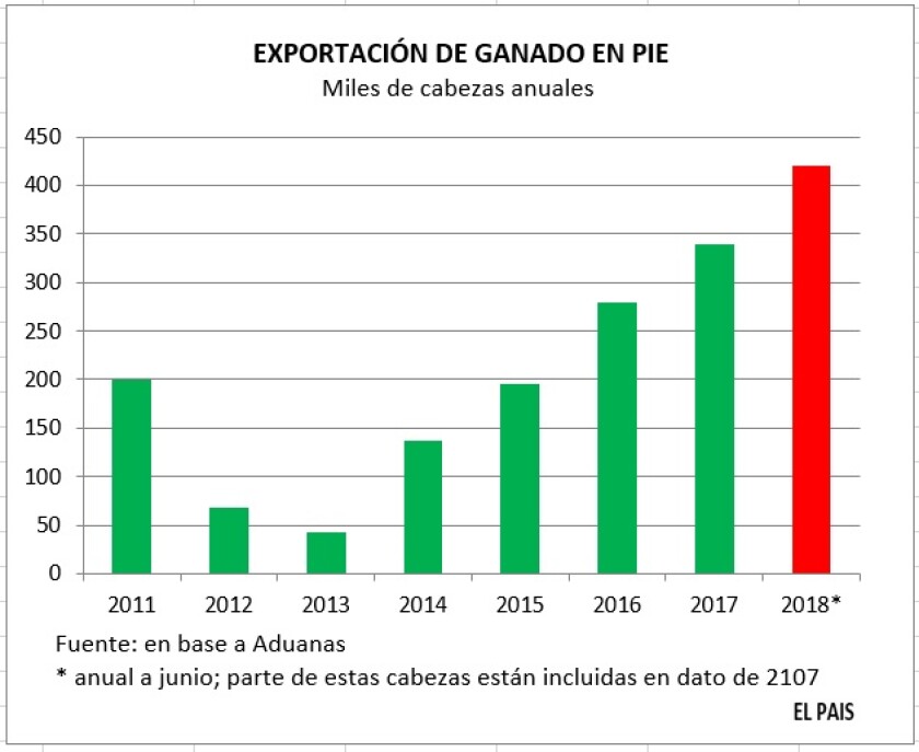 exportacion-de-ganado-en-pie.jpg