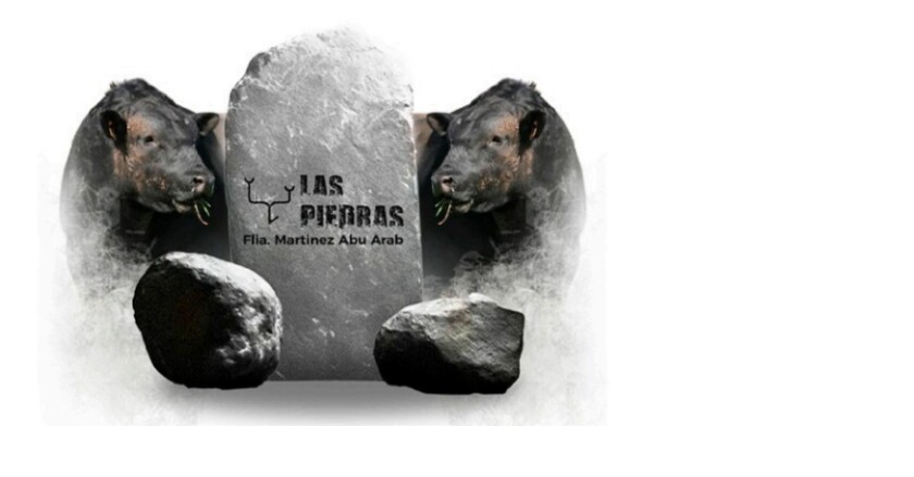 Foto previa Cabaña Las Piedras.jpg