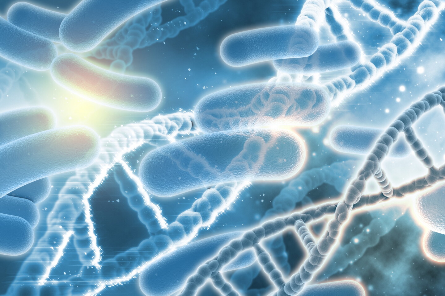 Bacterias.jpg