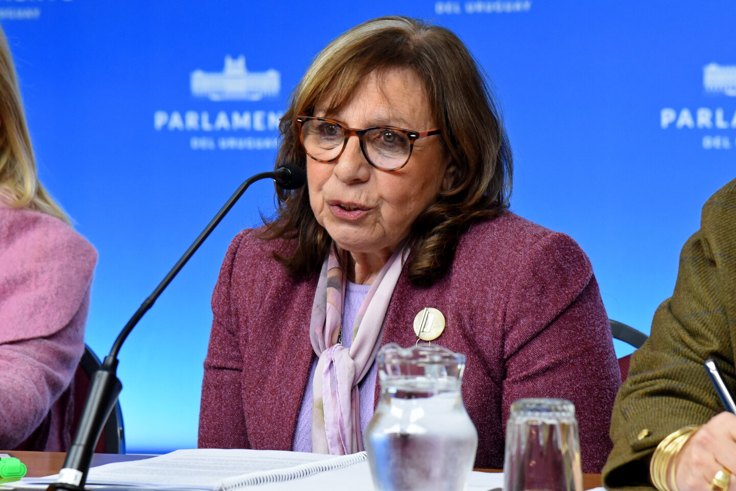 Conferencia por informe del sistema penitenciario uruguayo