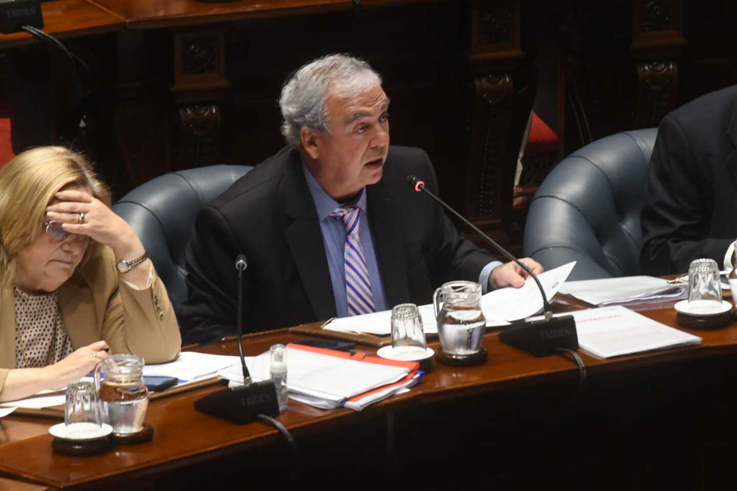 Luis Alberto Heber comparece ante el Parlamento en régimen de comisión general. Foto: Francisco Flores / El País