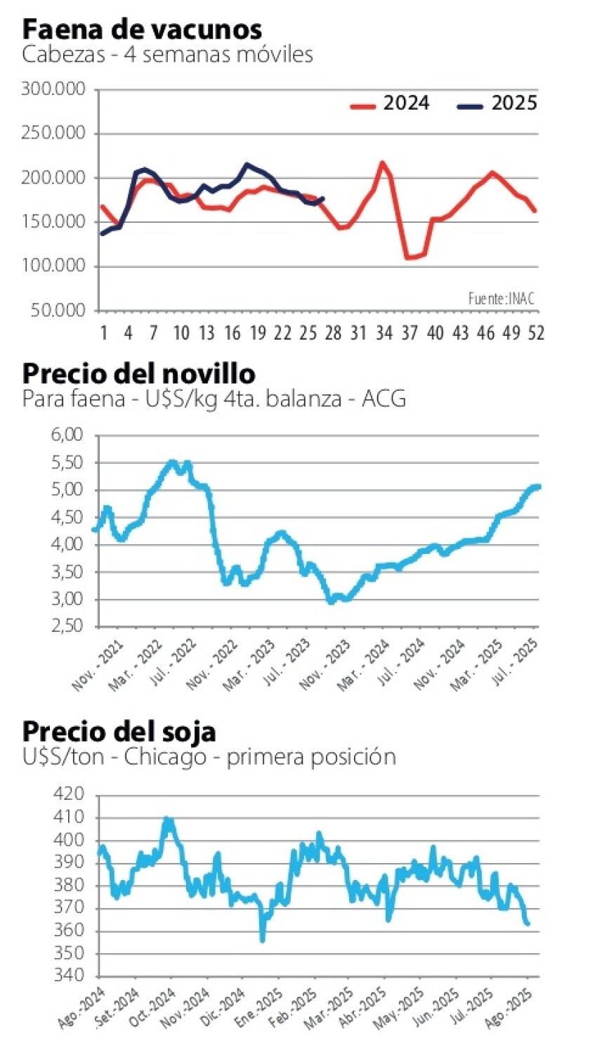 1 Gráficas NcL.jpg