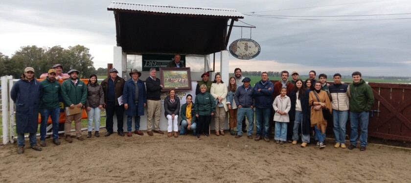 Los toros de Kiyú en 2023