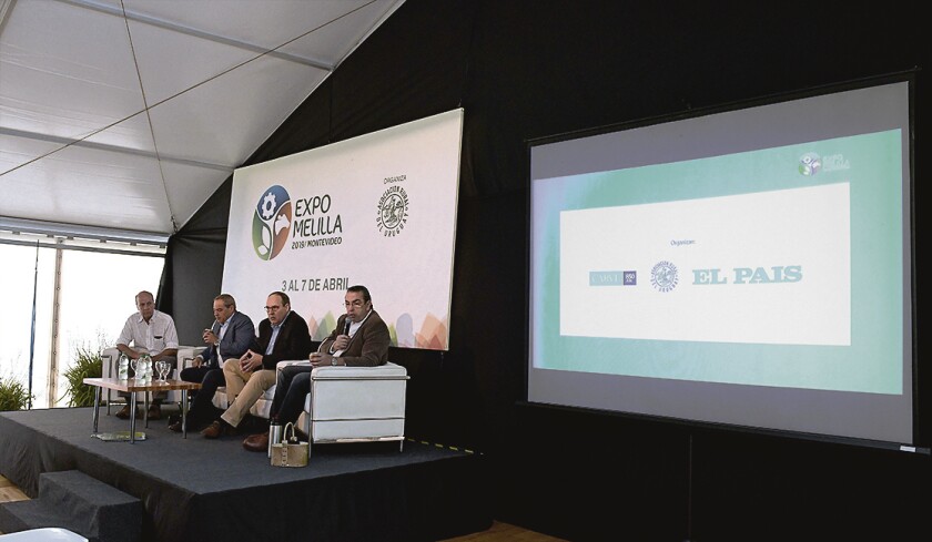 Expo Melilla 2019
