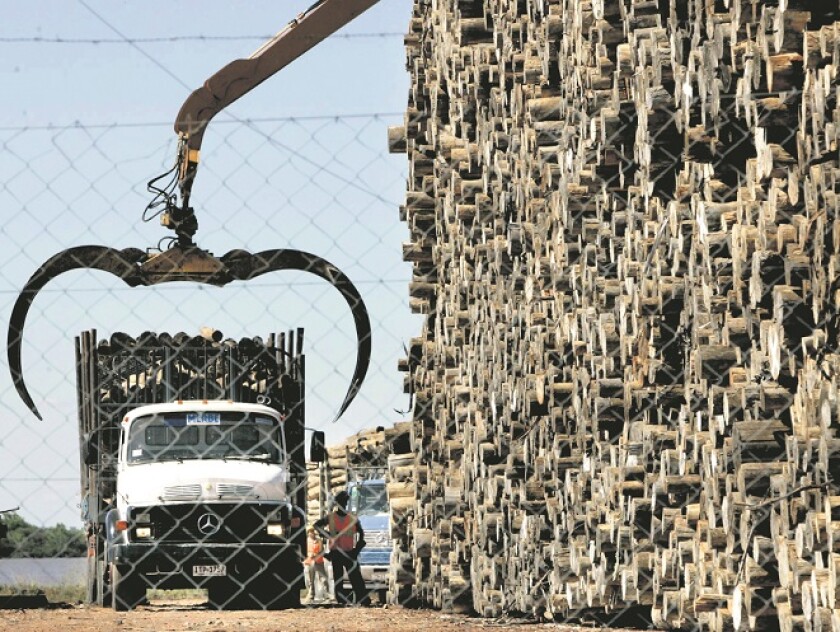 AP - URUGUAY ARGENTINA ENVIRONMENT - I - A crane unloads wood from a truck in the timber line of the plant, as workers continue with the construction of the Finland Botnia company pulp mill processing factory along the border with Argentina, on the shore of the Uruguay River, in Fray Bentos, Uruguay , some 309 kilometers northwest of Montevideo, Friday, Nov. 18, 2005. The Argentine government said Tuesday, that Uruguay should halt moves to build the two wood chip paper factories until environmental impact studies can be completed on the effect on the border area between both countries. The two proposed plants, on the Uruguayan side of the border with Argentina, triggered months of protests by locals who feared that pollutants would endanger nearby woodlands and waters. The issue has also caused some friction between the Argentine and Uruguayan governments. (AP Photo/Marcelo Hernandez) - FRAY BENTOS - URY - EDB MH SAH**NY** MADERAS, TRONCOS, CAMION DESCARGANDO MADERA