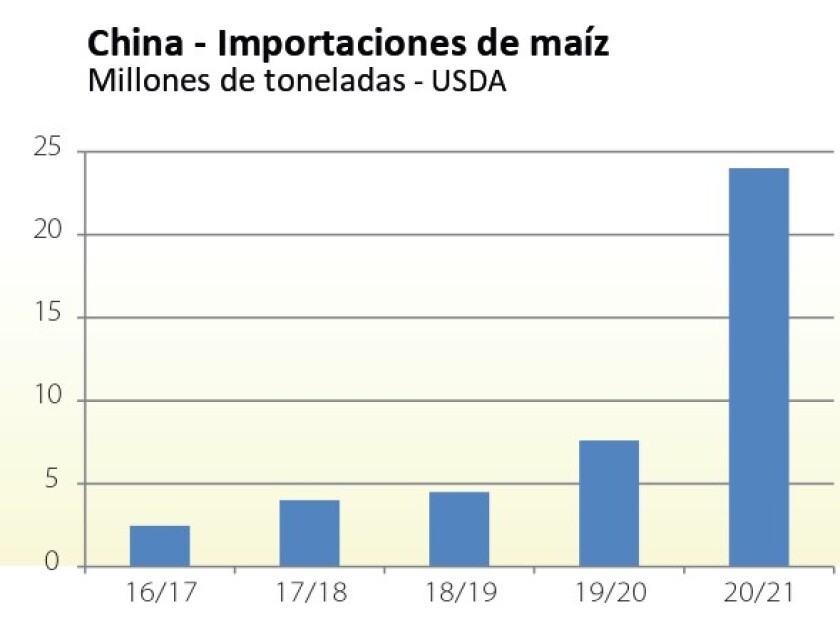 importacion-maiz.jpg