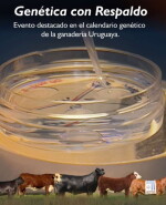 Embriones 1.jpg